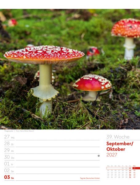 Produktbild: Unser Wald Wochenplaner Kalender 2027