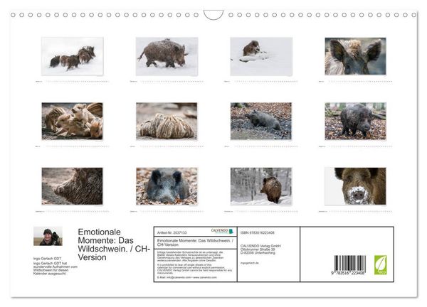 Produktbild: Emotionale Momente: Das Wildschwein. / CH-Version (Wandkalender 2026 DIN A3 quer), CALVENDO Monatskalender