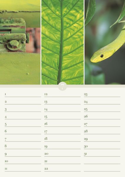 Produktbild: Geburtstagskalender Harmonie & Farbe - immerw&auml;hrend - (21 x 30)