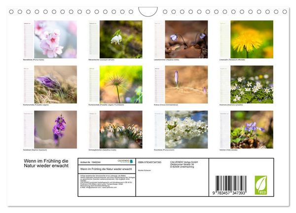 Produktbild: Wenn im Fr&uuml;hling die Natur wieder erwacht (Wandkalender 2026 DIN A4 quer), CALVENDO Monatskalender