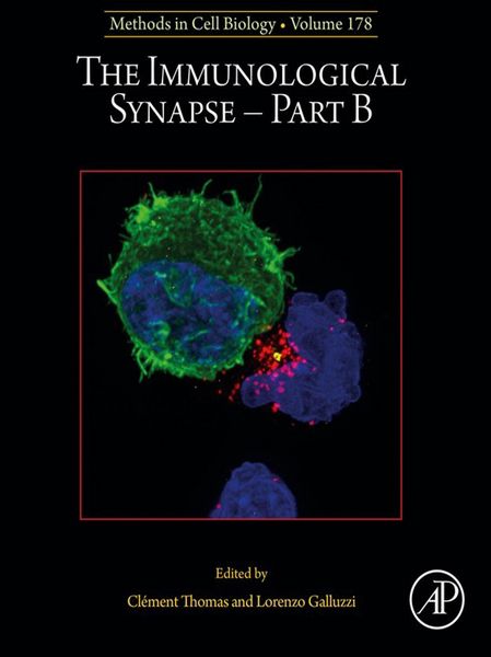 Produktbild: The Immunological Synapse - Part B