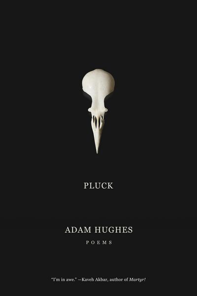 Produktbild: Pluck