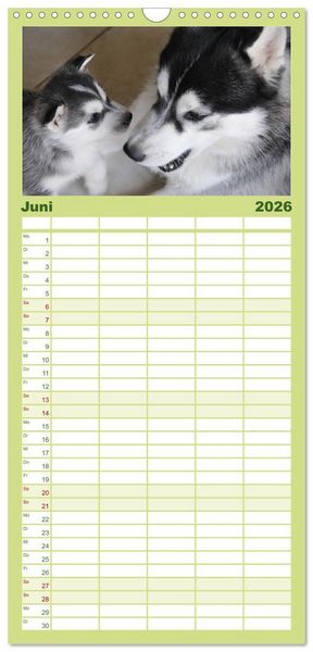 Produktbild: Familienplaner 2026 - Siberian Husky - der Urtyp mit 5 Spalten (Wandkalender, 21 x 45 cm) CALVENDO