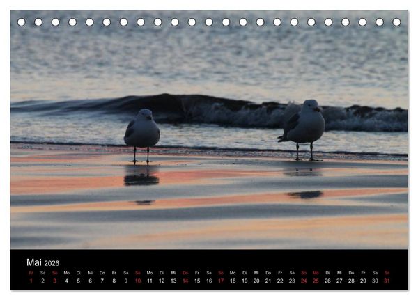 Produktbild: Sylt 2026 (Tischkalender 2026 DIN A5 quer), CALVENDO Monatskalender
