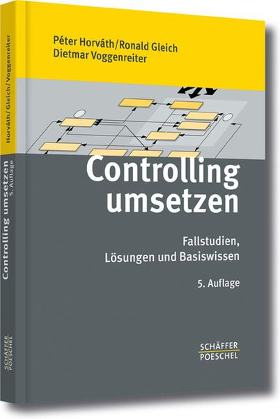 Produktbild: Controlling umsetzen