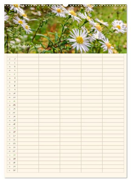 Produktbild: Mit Blick in den Garten (Wandkalender 2026 DIN A2 hoch), CALVENDO Monatskalender