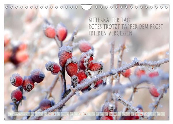 Produktbild: Haiku Poesie in Wort und Bild (Wandkalender 2026 DIN A4 quer), CALVENDO Monatskalender