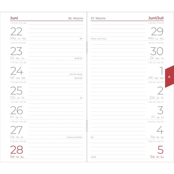 Miniplaner Style Pusteblumen 2026 - Taschen-Kalender 9x15 cm - Weekly - 64 Seiten - 1 Seite 1 Woche - Notiz-Heft - Alpha Edition