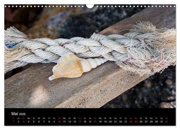 Produktbild: Strandgut und Meer 2026 (Wandkalender 2026 DIN A3 quer), CALVENDO Monatskalender