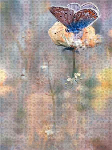 Produktbild: CALVENDO Puzzle Bl&auml;uling | 1000 Teile Lege-Gr&ouml;&szlig;e 64x48cm Foto-Puzzle f&uuml;r gl&uuml;ckliche Stunden
