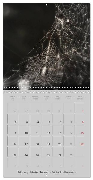 Produktbild: Kisses of dark dreams (Wall Calendar 2026 12 &times; 12 Inch) CALVENDO 12 Month Wall Calendar