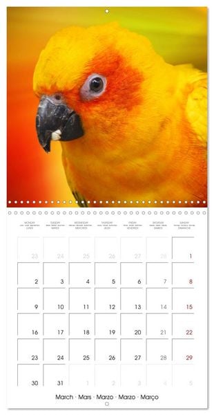 Produktbild: Wonderful Birds (Wall Calendar 2026 12 &times; 12 Inch) CALVENDO 12 Month Wall Calendar