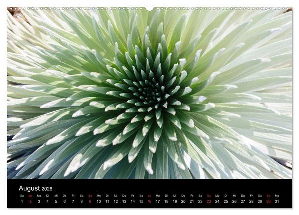 Produktbild: Hawaii - Oahu - Maui (hochwertiger Premium Wandkalender 2026 DIN A2 quer), Kunstdruck in Hochglanz