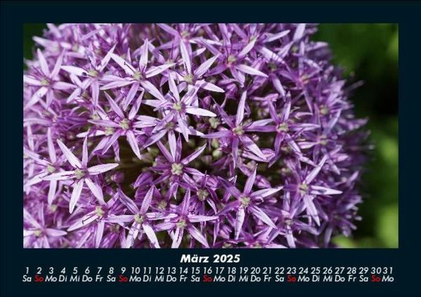 Produktbild: Blumenkalender 2025 Fotokalender DIN A5