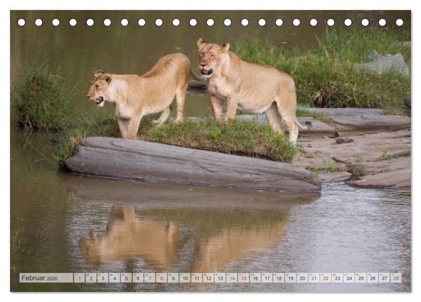 Produktbild: Emotionale Momente: Afrika Wildlife Part 2 / CH-Version (Tischkalender 2026 DIN A5 quer), CALVENDO Monatskalender