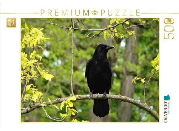 CALVENDO Puzzle Rabe im Baum | 500 Teile Lege-Größe 48 × 36 cm Foto-Puzzle für Erwachsene