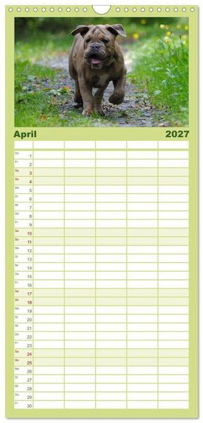 Produktbild: Familienplaner 2027 - Bulldoggen-Kinder mit 5 Spalten (Wandkalender, 21 x 45 cm) CALVENDO