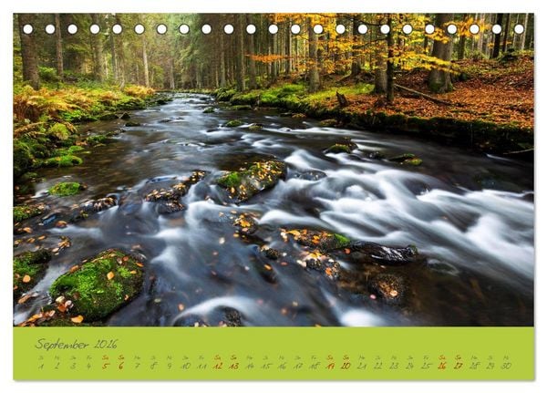 Produktbild: Der Bayerische Wald (Tischkalender 2026 DIN A5 quer), CALVENDO Monatskalender