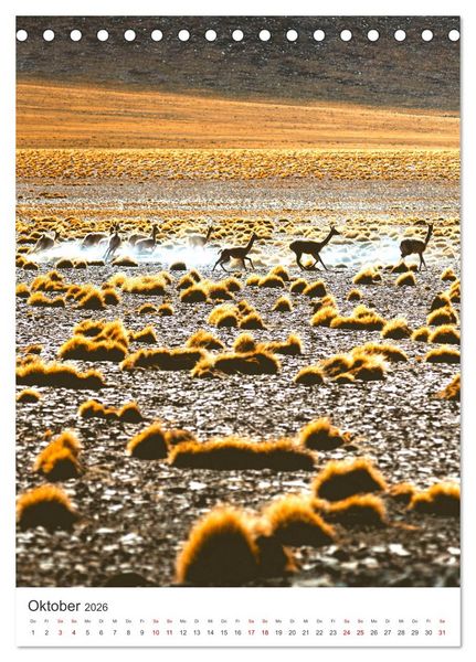 Produktbild: Chile - Ein unentdecktes Paradies. (Tischkalender 2026 DIN A5 hoch), CALVENDO Monatskalender
