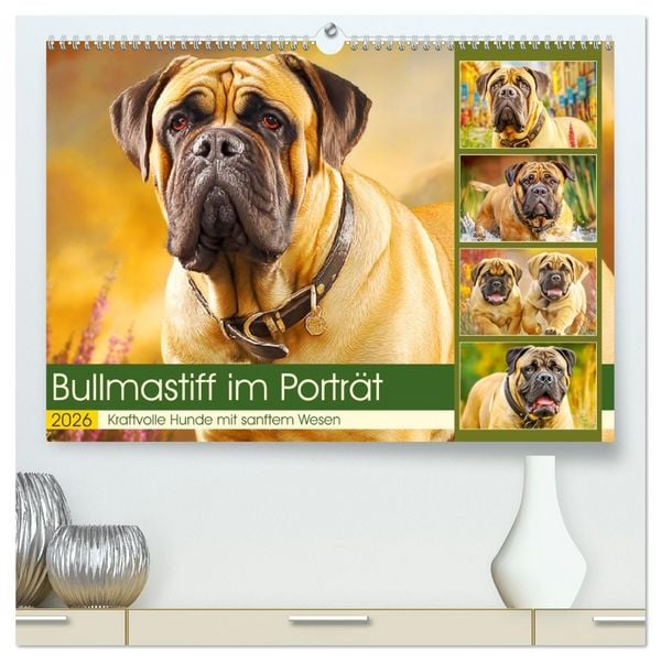 Bullmastiff im Porträt. Kraftvolle Hunde mit sanftem Wesen (hochwertiger Premium Wandkalender 2026 DIN A2 quer), Kunstdruck in Hochglanz