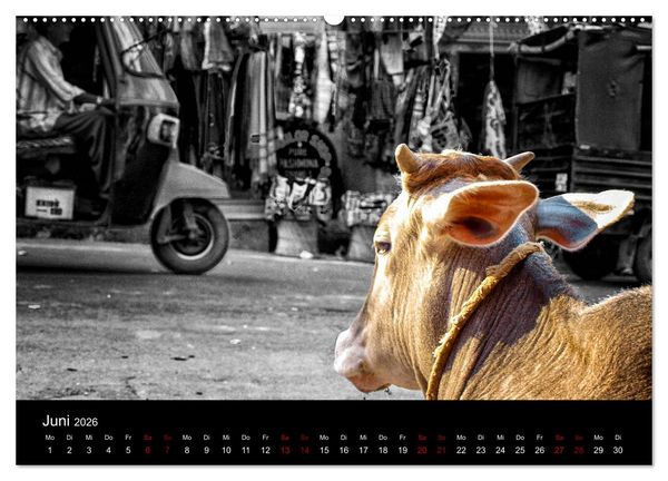 Produktbild: Indien Colorkey (hochwertiger Premium Wandkalender 2026 DIN A2 quer), Kunstdruck in Hochglanz
