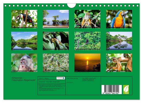 Produktbild: Amazonas - Faszination Regenwald (Wandkalender 2026 DIN A4 quer), CALVENDO Monatskalender