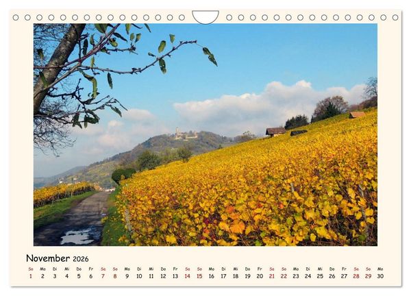 Produktbild: Weinlandschaft - Heppenheim an der Bergstra&szlig;e (Wandkalender 2026 DIN A4 quer), CALVENDO Monatskalender