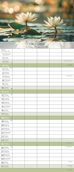 Produktbild: Familienplaner Zen 2026 - Familien-Timer 19,5x45 cm - 5 Spalten - Wand-Planer - viel Platz für Eintragungen - Familienkalender - Alpha Edition
