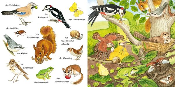 Produktbild: Mein kleines buntes Bildw&ouml;rterbuch: Tiere im Park und im Garten