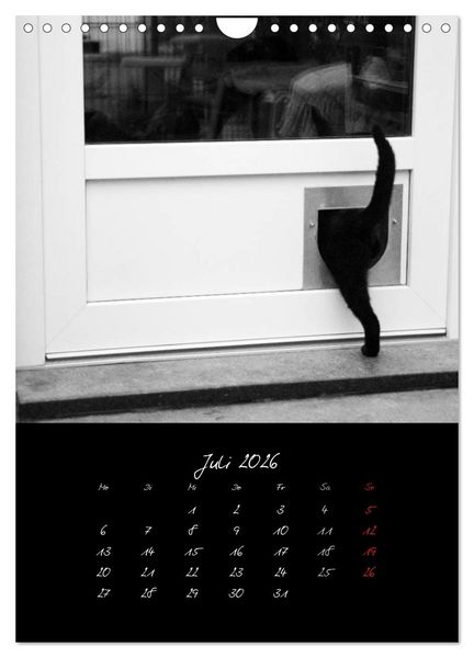 Produktbild: Katzenalltag 2026 (Wandkalender 2026 DIN A4 hoch), CALVENDO Monatskalender
