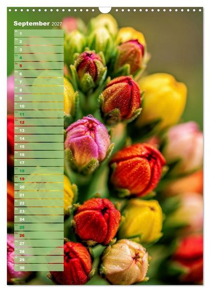 Produktbild: Bunte Augenblicke (Wandkalender 2027 DIN A3 hoch), CALVENDO Monatskalender
