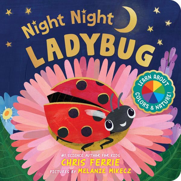Produktbild: Night Night Ladybug