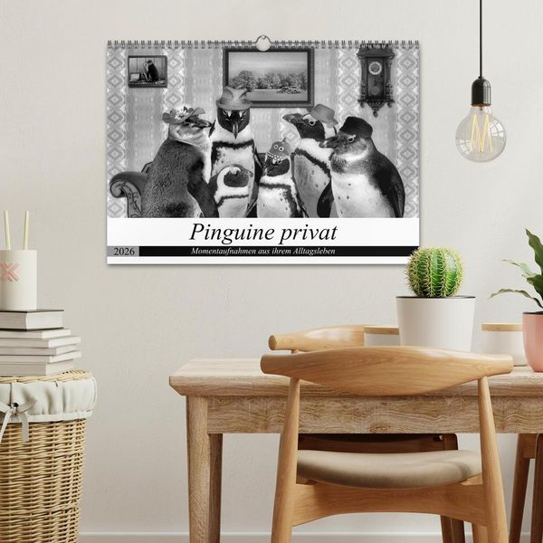 Produktbild: Pinguine privat (Wandkalender 2026 DIN A3 quer), CALVENDO Monatskalender