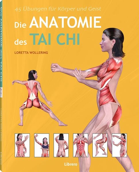 Produktbild: DIE ANATOMIE DES TAICHI