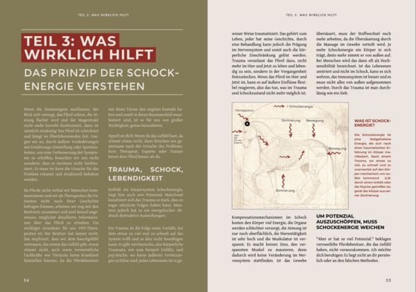 Produktbild: KastrationsTrauma - Wenn der K&ouml;rper nicht mehr zur&uuml;ckfindet