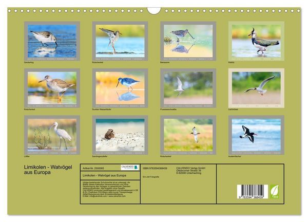 Produktbild: Limikolen - Watv&ouml;gel aus Europa (Wandkalender 2027 DIN A3 quer), CALVENDO Monatskalender