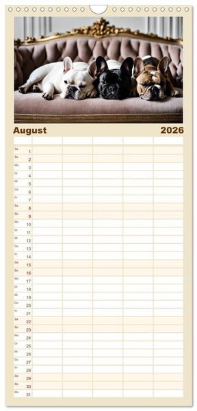 Produktbild: Familienplaner 2026 - Kleine K&ouml;nige - Franz&ouml;sische Bulldoggen mit 5 Spalten (Wandkalender, 21 x 45 cm) CALVENDO