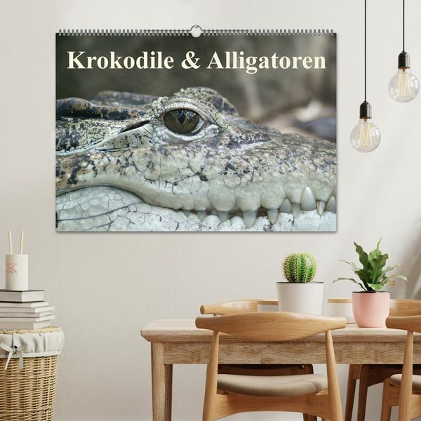 Produktbild: Krokodile & Alligatoren (Wandkalender 2026 DIN A2 quer), CALVENDO Monatskalender