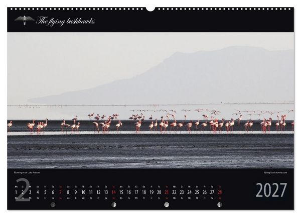 Produktbild: Tansania Blickwinkel 2027 (Wandkalender 2027 DIN A2 quer), CALVENDO Monatskalender