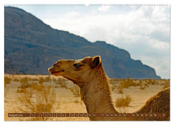 Produktbild: Die W&uuml;ste Wadi Rum (hochwertiger Premium Wandkalender 2026 DIN A2 quer), Kunstdruck in Hochglanz