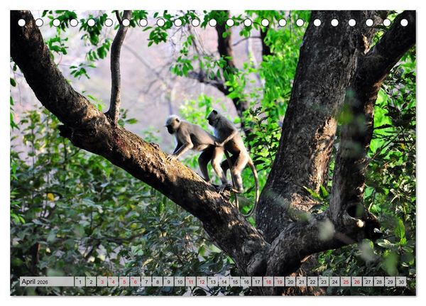 Produktbild: Uttarakhand &ndash; Land der G&ouml;tter (Tischkalender 2026 DIN A5 quer), CALVENDO Monatskalender