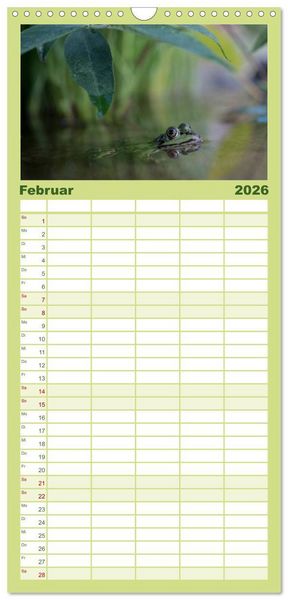 Produktbild: Familienplaner 2026 - Gl&uuml;ckliche Fr&ouml;sche mit 5 Spalten (Wandkalender, 21 x 45 cm) CALVENDO