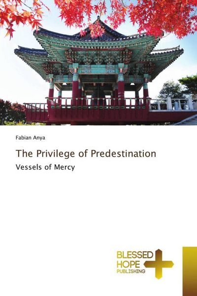 Produktbild: The Privilege of Predestination