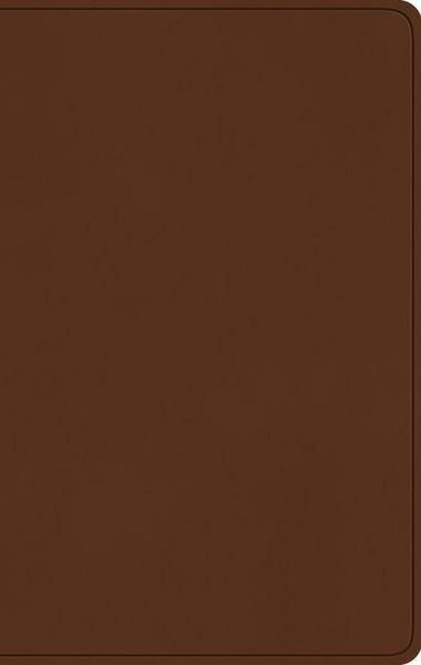 Produktbild: ESV Large Print Value Thinline Bible