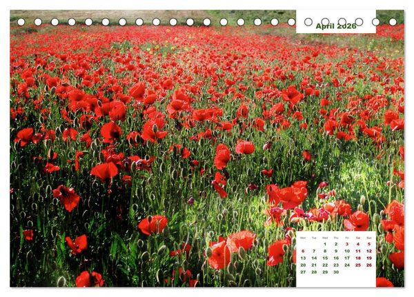 Produktbild: Umbrian Countryside (Desk Calendar 2026 DIN A5 landscape), CALVENDO 12 Month DeskCalendar