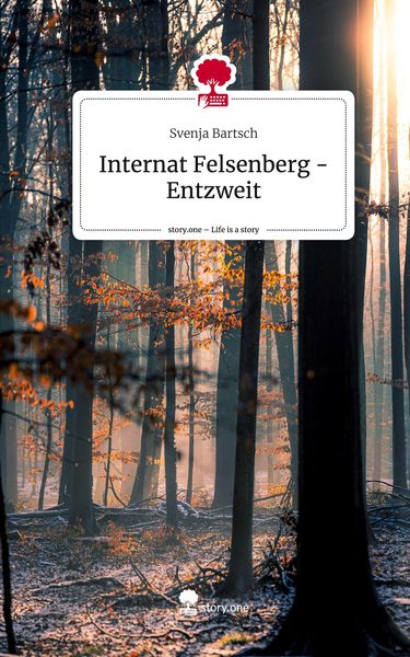 Produktbild: Internat Felsenberg - Entzweit. Life is a Story - story.one