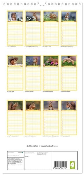 Produktbild: Familienplaner 2027 - Eichh&ouml;rnchen in zauberhaften Posen mit 5 Spalten (Wandkalender, 21 x 45 cm) CALVENDO