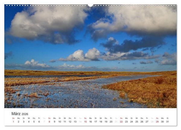 Produktbild: Texel &ndash; Eine Insel die verzaubert (Wandkalender 2026 DIN A2 quer), CALVENDO Monatskalender