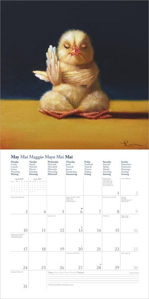 Produktbild: Yoga Chicks 2027