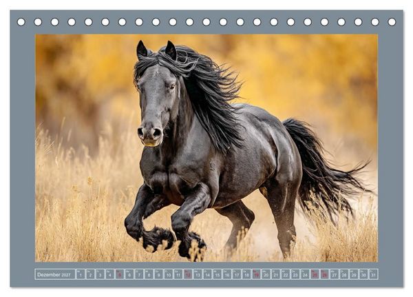 Produktbild: Mustangs. Pferde in ihrer wildesten Sch&ouml;nheit (Tischkalender 2027 DIN A5 quer), CALVENDO Monatskalender